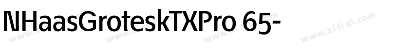 NHaasGroteskTXPro 65字体转换